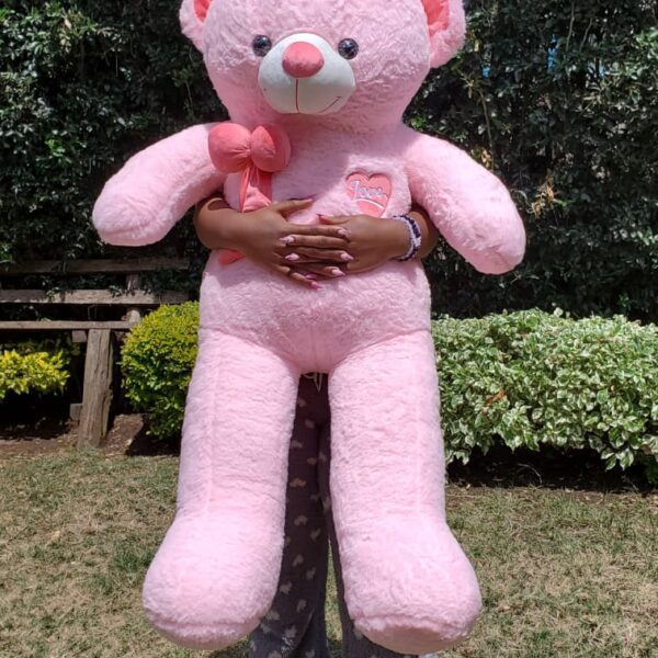 The 120cm Teddy Bear